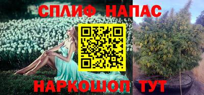 дмт Ливны