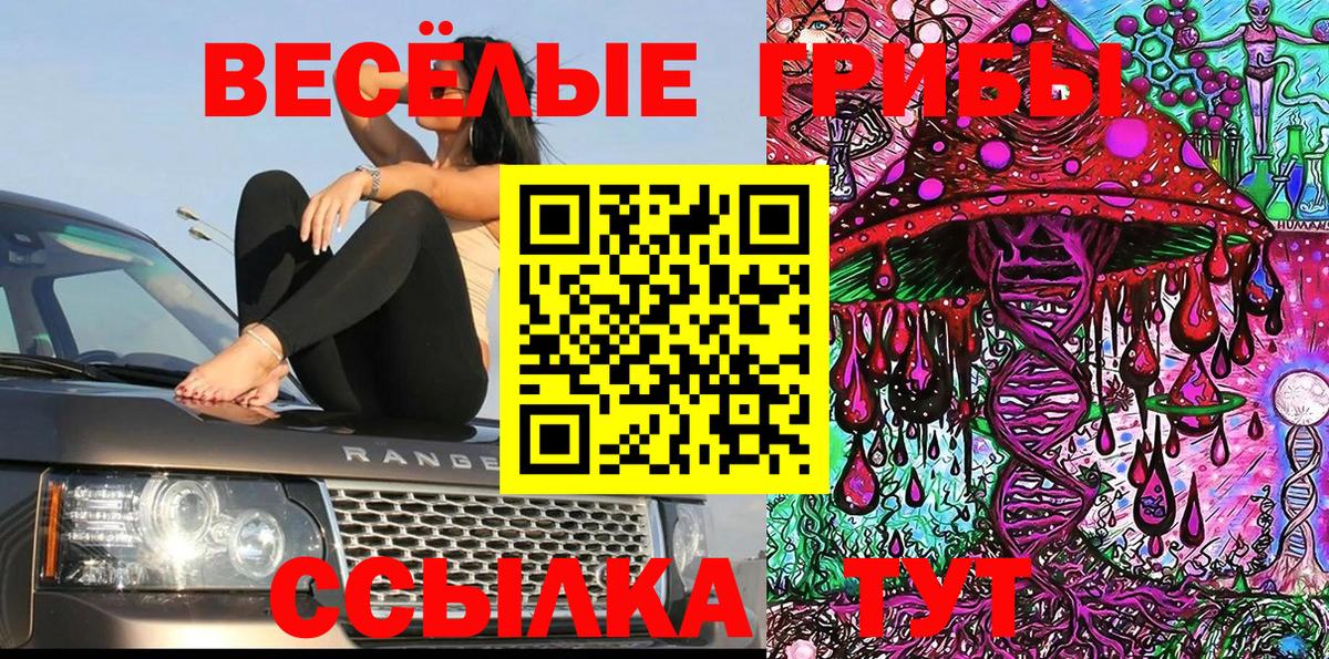 Канск  Галлюциногенные грибы GOLDEN TEACHER  Вход с VPN 